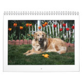 Calendrier Mural Mack et amis 2011 (Protection)