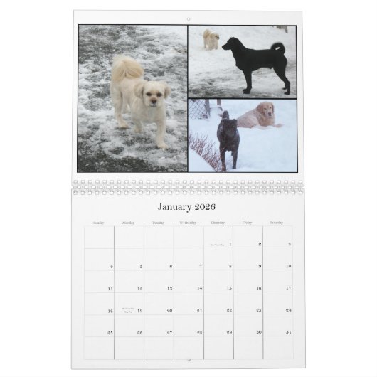 Calendrier Mural Mack et amis 2011 (Jan 2026)