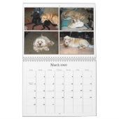 Calendrier Mural Mack et amis 2011 (Mar 2026)