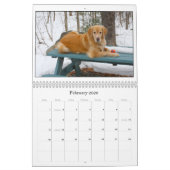 Calendrier Mural Mack et amis 2011 (Feb 2026)