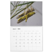 Calendrier Mural Macros d'insectes 2024 Kalender (Mar 2026)