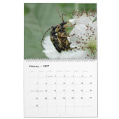 Calendrier Mural Macros d'insectes 2024 Kalender (Feb 2027)