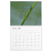 Calendrier Mural Macros d'insectes 2024 Kalender (Jan 2026)