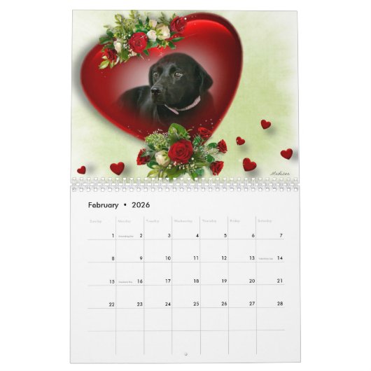 Calendrier Mural Madison le Labrador noir (Feb 2026)