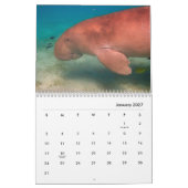 Calendrier mural Manatees (Jan 2027)