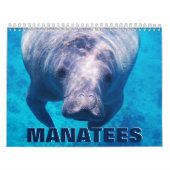 Calendrier mural Manatees (Protection)