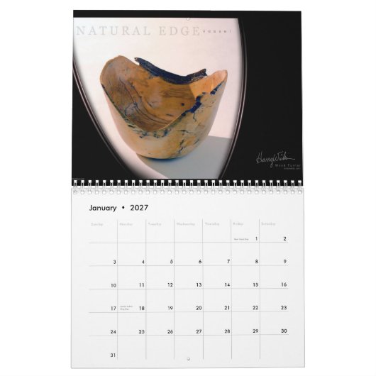 CALENDRIER MURAL MÈCHES DE HARRY FAISANT DES PUCES (Jan 2027)