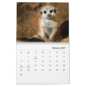 Calendrier mural Meerkats (Feb 2027)