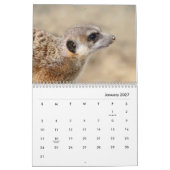 Calendrier mural Meerkats (Jan 2027)
