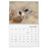 Calendrier mural Meerkats (Jan 2026)