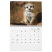Calendrier mural Meerkats (Feb 2026)