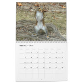 Calendrier Mural Meilleures photos d'écureuils (Feb 2026)