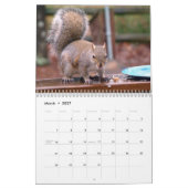 Calendrier Mural Meilleures photos d'écureuils (Mar 2027)