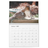 Calendrier Mural Meilleures photos d'écureuils (Jan 2027)