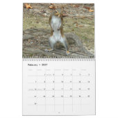 Calendrier Mural Meilleures photos d'écureuils (Feb 2027)