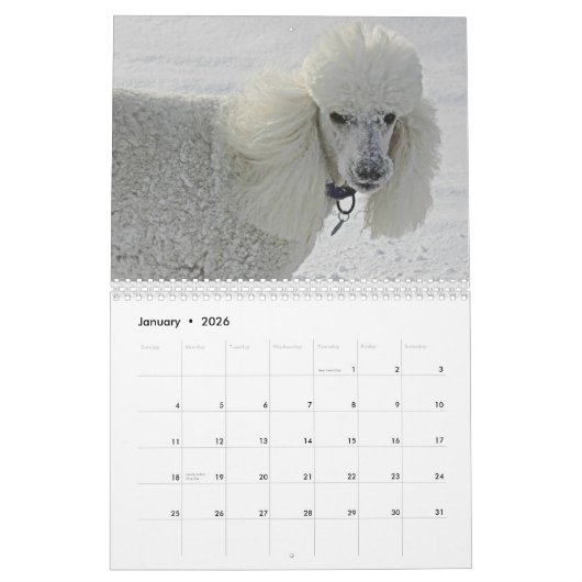 Calendrier Mural Même les chiens prennent du temps de sentir les (Jan 2026)