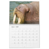 Calendrier mural merveilleux de morse (Mar 2027)