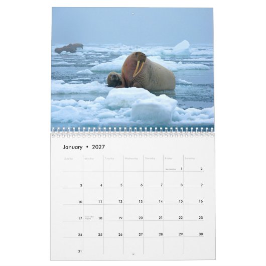 Calendrier mural merveilleux de morse (Jan 2027)