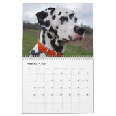 Calendrier Mural Molo (Feb 2026)