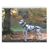 Calendrier Mural Molo (Protection)