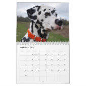 Calendrier Mural Molo (Feb 2027)