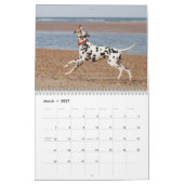 Calendrier Mural molo 2010 (Mar 2027)