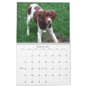 Calendrier Mural Mon Brittanys 2011 (Mar 2027)