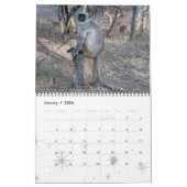 Calendrier Mural Monkey Primate Vine Bienvenue Accueil Destiny Dest (Jan 2026)