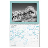 Calendrier Mural Monochromes du désert (Calendrier) (Jan 2027)