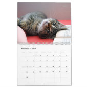 Calendrier mural More Kittens - HAMbyWG (Feb 2027)