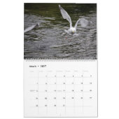 Calendrier Mural Mouettes (Mar 2027)