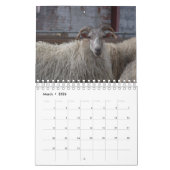 Calendrier Mural Moutons (Mar 2026)