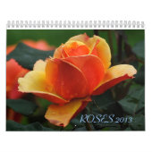 Calendrier Mural Mur Callendar des ROSES 2013 (Protection)