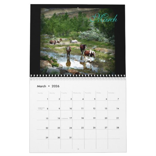 Calendrier Mural Mustangs sauvages 2017 (Mar 2026)