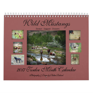 Calendrier Mural Mustangs sauvages 2017