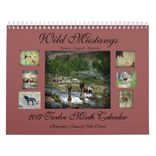 Calendrier Mural Mustangs sauvages 2017 (Protection)