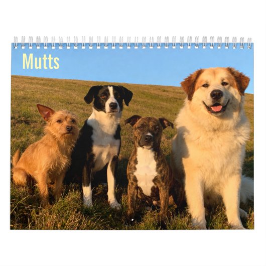 Calendrier mural Mutts 2027 (Protection)