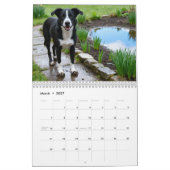 Calendrier mural Mutts 2027 (Mar 2027)