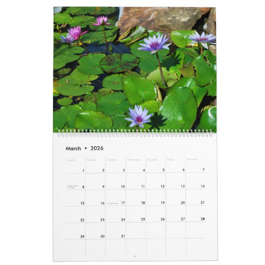 Calendrier Mural Nature 2016 (Mar 2026)