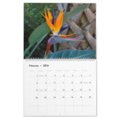 Calendrier Mural Nature 2016 (Feb 2026)