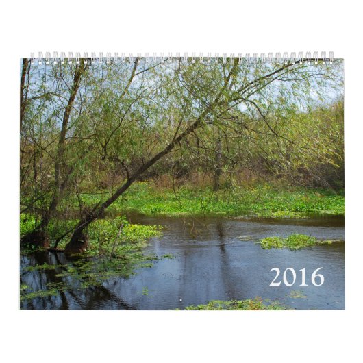 Calendrier Mural Nature 2016 (Protection)