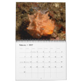 Calendrier mural Nudibranche 2 par J. Fatherree (Feb 2027)