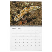 Calendrier mural Nudibranche 2 par J. Fatherree (Jan 2027)