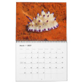Calendrier mural Nudibranche 2 par J. Fatherree (Mar 2027)