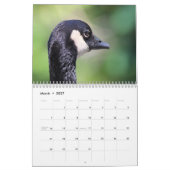 Calendrier Mural Oies et oisons du Canada (Mar 2027)