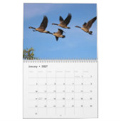 Calendrier Mural Oies et oisons du Canada (Jan 2027)