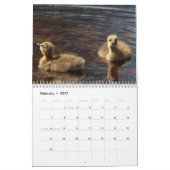 Calendrier Mural Oies et oisons du Canada (Feb 2027)