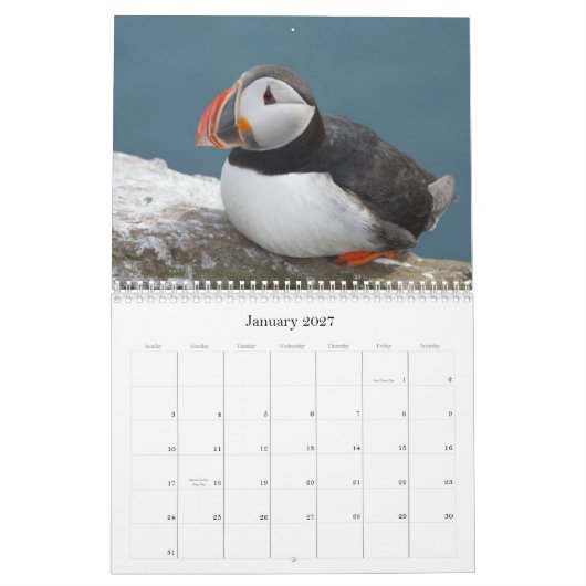 Calendrier Mural Oiseau Calaender 2013-2014 (Jan 2027)