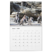 Calendrier Mural Oiseaux (Mar 2027)