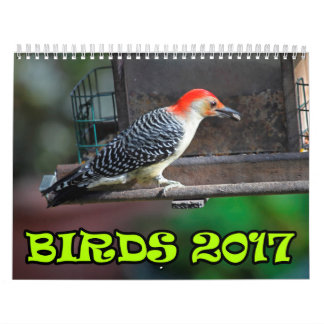 Calendrier Mural Oiseaux 2017